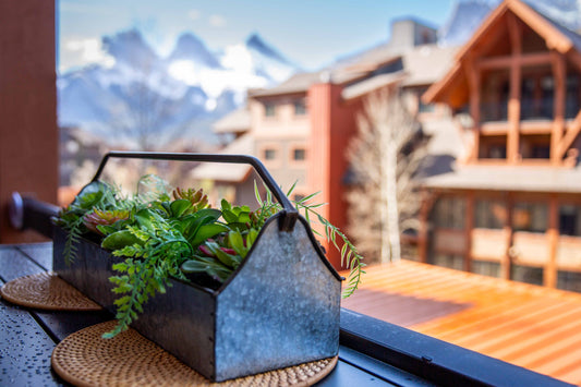 Investing in Canmore STRs: Why This Mountain Town Is a Top Short-Term Rental Market (Part 1)