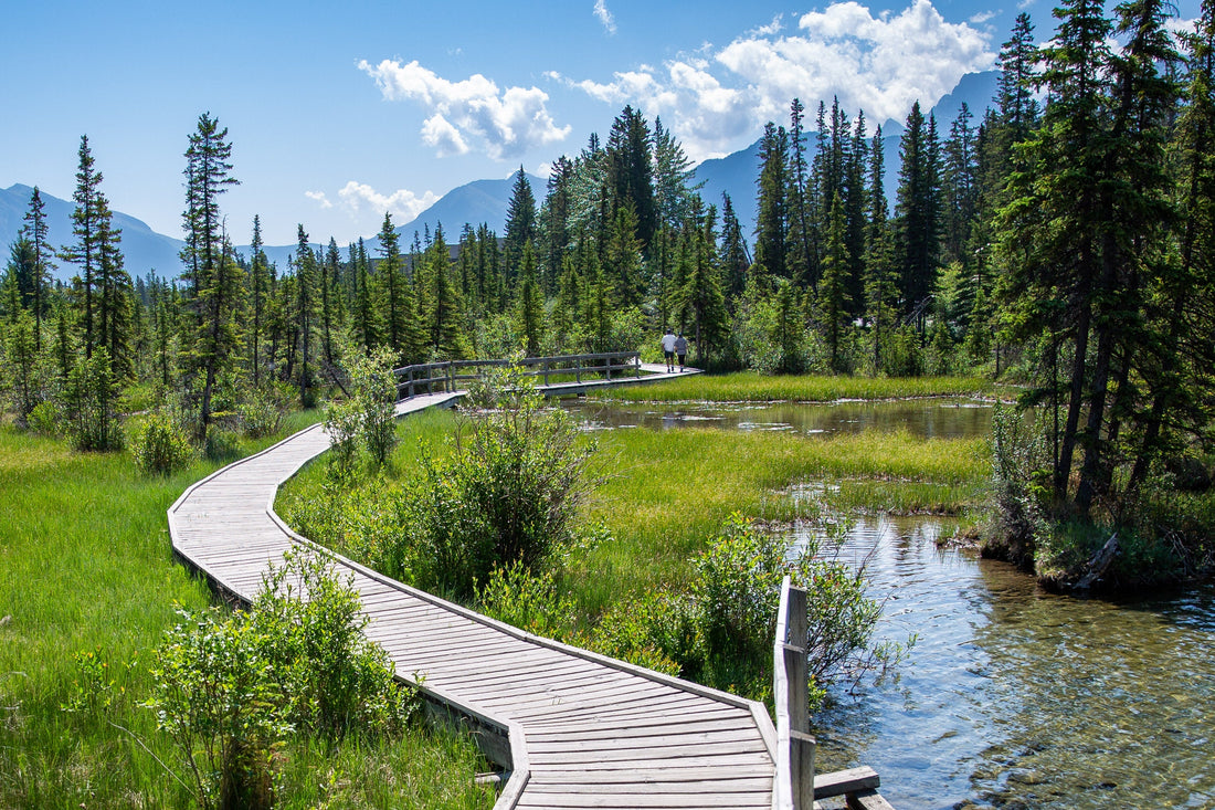 How Dynamic Pricing Maximizes STR Revenue: Hydeaway Stay’s Pricelabs Strategy Explained