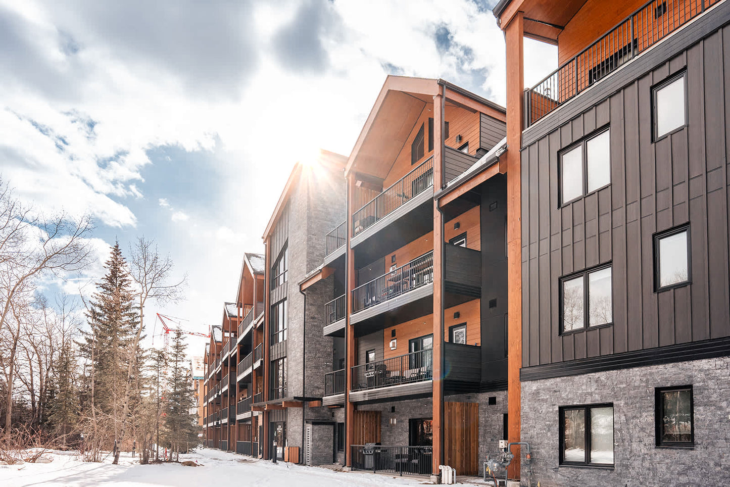 Timberline Hydeaway