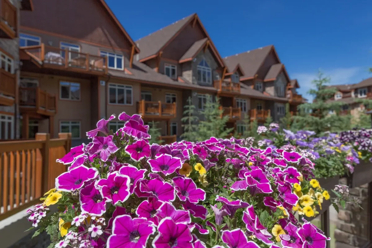 flowers at stoneridge mountain resort